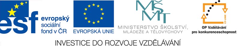 ŠKOLA TAJEMSTVÍ POHYBU A KRÁSY